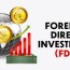 foreign direct investment fdi types