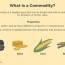 what is a commodity in economics