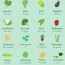 100 calories of diffe vegetables