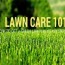 lawn care 101 how to get your lawn
