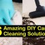6 amazing diy carpet cleaning solutions