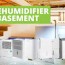 top 7 best dehumidifiers for basements
