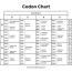codon chart free printable paper