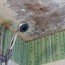 bathroom ceiling mold removal when to