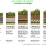 green roof systems green roof technology