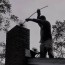 chimney sweeping seitz wildlife services
