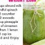 the best green smoothie for weight loss