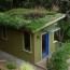 sustainable rooftop oasis how to build