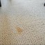 how to deep clean carpet without a