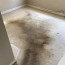 7 cleaning mistakes that ruin carpets