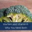 warfarin and vitamin k why you need