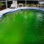 how to clean a green pool with bleach