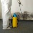 mold removal or mold remediation cost