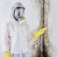 mold removal or mold remediation cost