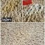 remove old and new carpet pet stains