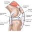 knee pain treatment men s health