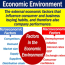 what is the economic environment