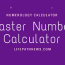 master number calculator free