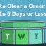 how to clear a green pool in 5 days or less
