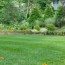 10 benefits of a green lawn care