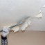 popcorn ceiling removal in sebastopol