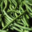 how to freeze green beans the prairie