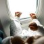 tips for flying with baby