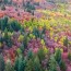 drone filmt felgekleurd herfstlandschap