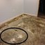 uneven concrete floor for carpet tiles