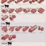 beef cuts loin rib sirloin guide