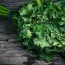 14 of the healthiest vegetables around