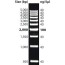 dna ladders from g biosciences