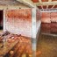 5 causes of basement flooding
