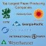 top 10 largest paper producing