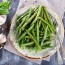 green beans ers at reasonable