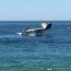 small plane crash lands in ocean off