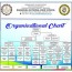 organizational chart bnhs markina