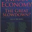 indian economy the great slowdown