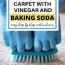 clean carpet with baking soda and vinegar
