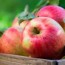 apple nutrition benefits of apples