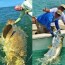 florida ins xtream charters
