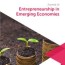 entrepreneurship in emerging economies
