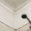 how to remove mold from bathroom ceilings