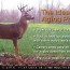 complete guide to aging whitetail deer