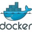 mysql docker container