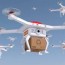 a cargo drone definition goal