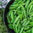 how to cook snap peas so easy