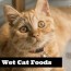 catfooddb unbiased cat food reviews