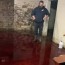 basement flooded with animal blood