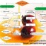 flow chart for physical refining and